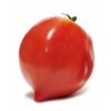 Tomate antiguo N° 43 Cuor di Bue (Corazón de Buey) Semilla Orgánica 10 un.