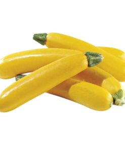 Planta Zapallo Italiano amarillo