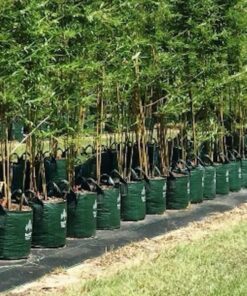 Bolsa de cultivo Grow in Bag ultra resistente 25 litros 2 asas