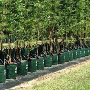 Bolsa de cultivo Grow in Bag ultra resistente 25 litros 2 asas