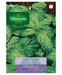 Sobre Semillas Vilmorin Albahaca Hoja de Lechuga