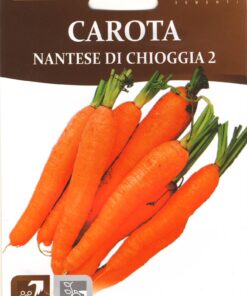 Sobre Semillas Ortovivo Zanahoria Nantesa de Chioggia 2 Hortus