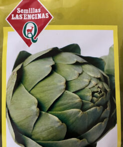 Semillas Sobre Las Encinas Alcachofa