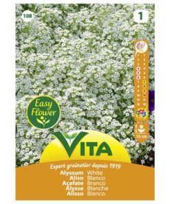Sobre Semillas Vilmorin Flores Aliso Blanco Vita