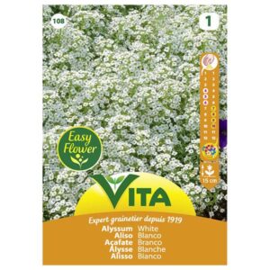 Sobre Semillas Vilmorin Flores Aliso Blanco Vita
