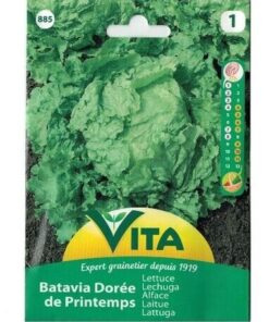 Sobre Semillas Vilmorin Lechuga Batavia de Primavera Vita