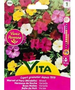 Sobre Semillas Vilmorin Flores Bella de Noche Vita