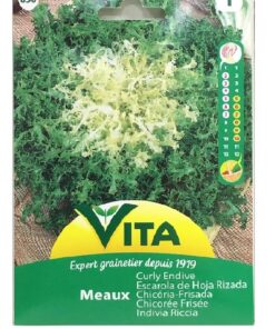 Sobre Semillas Vilmorin Achicoria Escarola Rizada Vita