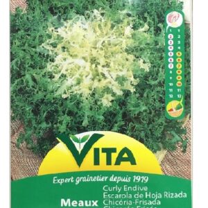 Sobre Semillas Vilmorin Achicoria Escarola Rizada Vita