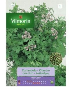 Sobre Semillas Vilmorin Cilantro Vimorin