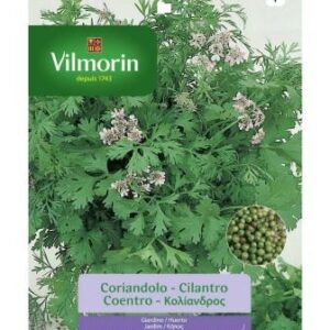 Sobre Semillas Vilmorin Cilantro Vimorin