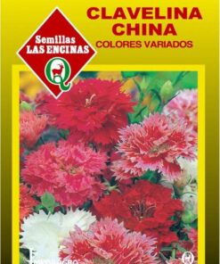 Semillas Clavelina China Colores Variados Las Encinas