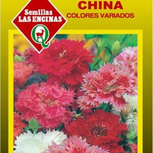 Semillas Clavelina China Colores Variados Las Encinas