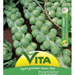 Sobre Semillas Vilmorin Repollo de Bruselas Vita