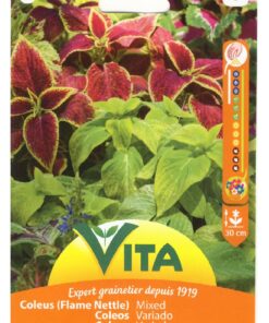 Sobre Semillas Vilmorin Coleus Variado Vita