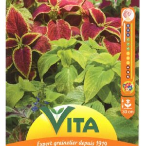 Sobre Semillas Vilmorin Coleus Variado Vita