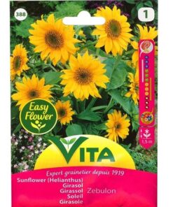 Sobre Semillas Vilmorin Girasol Helianthus Vita