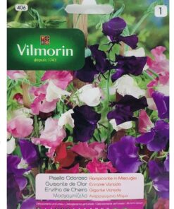 Sobre Semillas Vilmorin Flores Guisante de olor Enorme Variado (Clarines)