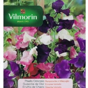 Sobre Semillas Vilmorin Flores Guisante de olor Enorme Variado (Clarines)