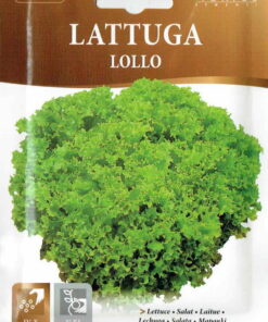 Sobre Semillas Ortovivo Lechuga Lollo Bionda Hortus