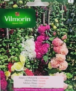 Sobre Semillas Vilmorin Flores Malva Real Vilmorin