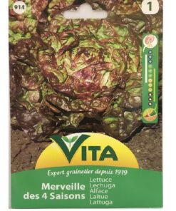 Sobre Semillas Vilmorin Lechuga Maravilla Cuatro Estaciones Vita