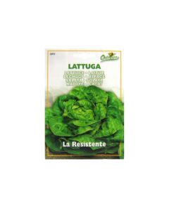 Sobre Semillas Ortovivo Lechuga Española La Resistente
