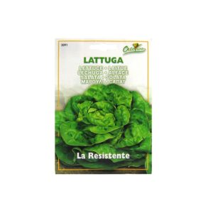 Sobre Semillas Ortovivo Lechuga Española La Resistente