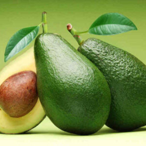 Palto Bacon injertado