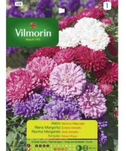 Sobre Semillas Vilmorin Flores Reina Margarita