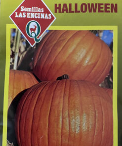 Semillas Zapallo Halloween Las Encinas