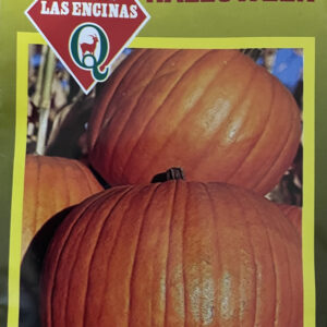 Semillas Zapallo Halloween Las Encinas