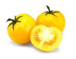 Planta de Tomate Mediano - Grande Amarillo