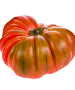 Sobre semillas tomate antiguo # 44 Raf  15 Semillas