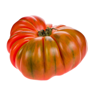 Sobre semillas tomate antiguo orgánico # 44 Raf  15 Semillas