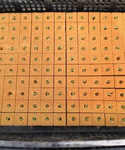Plancha de espuma fenólica 2.5 x 2.5 x 3.8 pre perforada