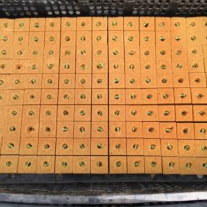 Plancha de espuma fenólica 2.5 x 2.5 x 3.8 pre perforada