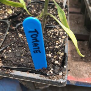 Etiquetas para marcar Plantas  L4 Negra rígida de 10 cm unidad con orificio