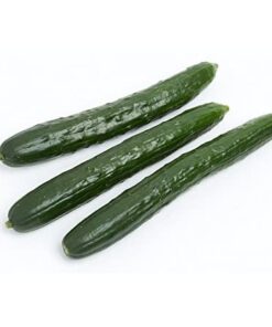 Planta Pepino de Ensalada Telegraph