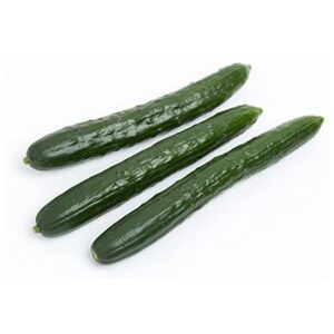 Planta Pepino de Ensalada Telegraph