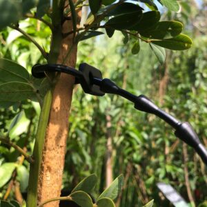 Amarra P/Plantas y Arboles Profesional reutilizable de goma 21 cm