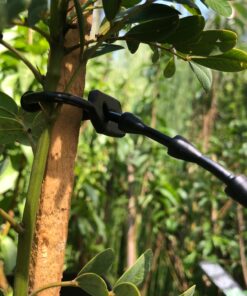 Amarra P/Plantas y Arboles Profesional Reutilizable de goma 25 cm