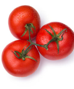 Sobre Semillas Tomate Antiguo # 48 Tres Cantos 10 semillas