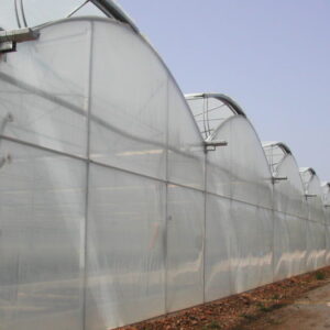 Plástico para invernadero tricapa térmico y difusor Sotrafa por metro lineal ancho 4,2 mt