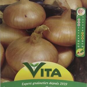 Sobre Semillas Vilmorin Cebolla Virtudes Vita