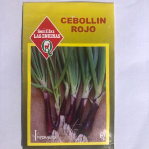 Semillas Sobre Las Encinas Cebollin rojo
