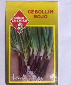 Semillas Sobre Las Encinas Cebollin rojo