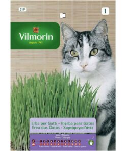 Sobre Semillas Vilmorin Hierba para gatos Vilmorin