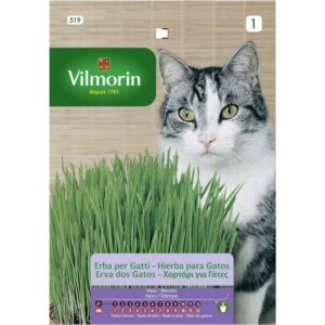Sobre Semillas Vilmorin Hierba para gatos Vilmorin