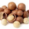 Arbol frutal Nuez Macadamia